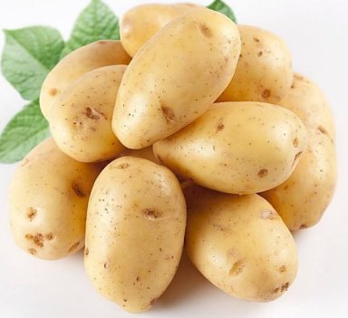 马铃薯为什么被称为“第四大主粮”？