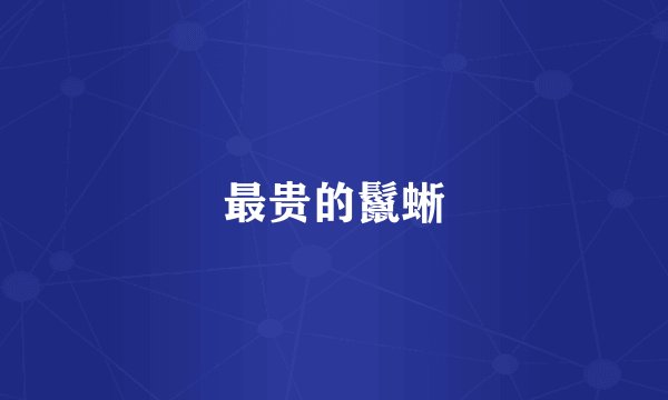 最贵的鬣蜥