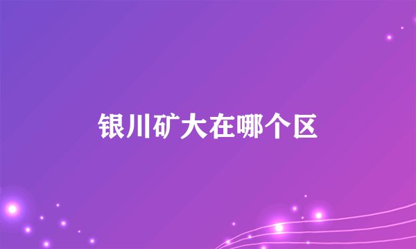 银川矿大在哪个区