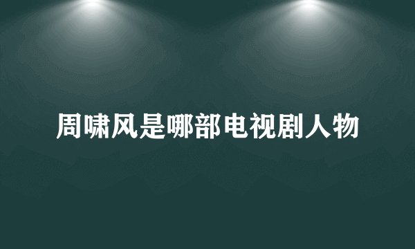 周啸风是哪部电视剧人物