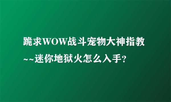 跪求WOW战斗宠物大神指教~~迷你地狱火怎么入手？