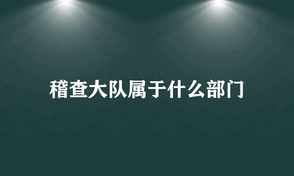 稽查大队属于什么部门