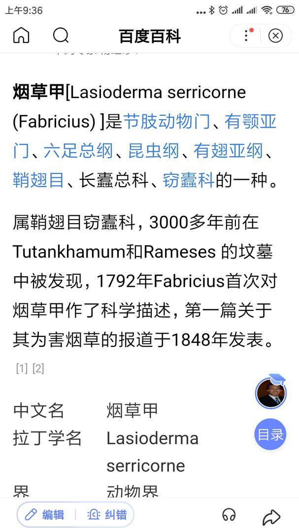 家里出现了这种褐色会飞的小虫子，好像是外面进来的。请问这是什么虫？