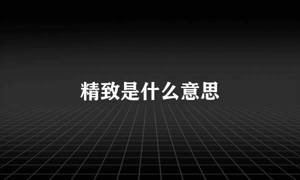 精致是什么意思