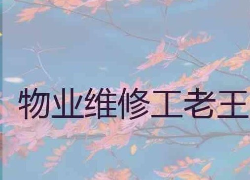 物业维修工老王马婷有大结局吗。