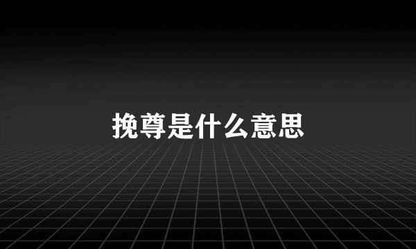 挽尊是什么意思