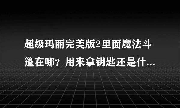 超级玛丽完美版2里面魔法斗篷在哪?用来拿钥匙还是什么的,找不到啊