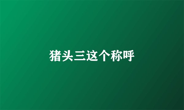 猪头三这个称呼