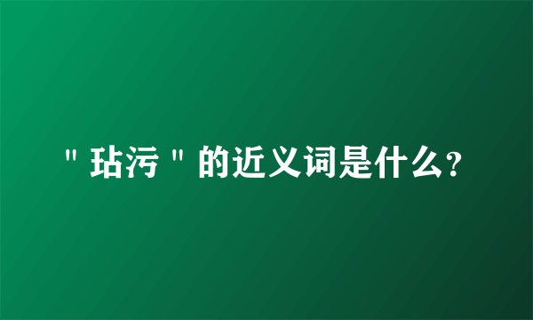 ＂玷污＂的近义词是什么？