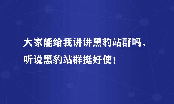 大家能给我讲讲黑豹站群吗，听说黑豹站群挺好使！