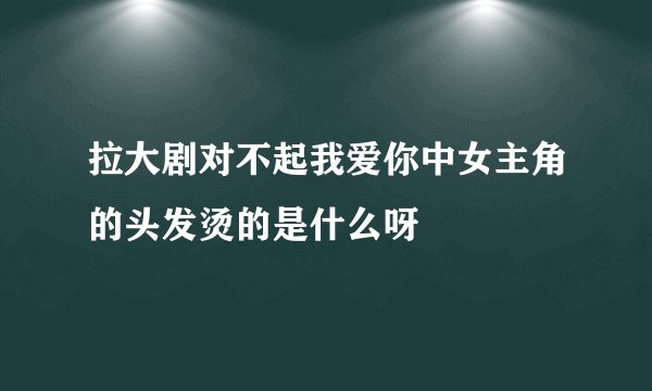 拉大剧对不起我爱你中女主角的头发烫的是什么呀