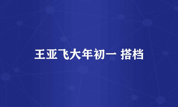 王亚飞大年初一 搭档