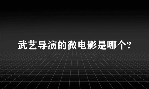 武艺导演的微电影是哪个?