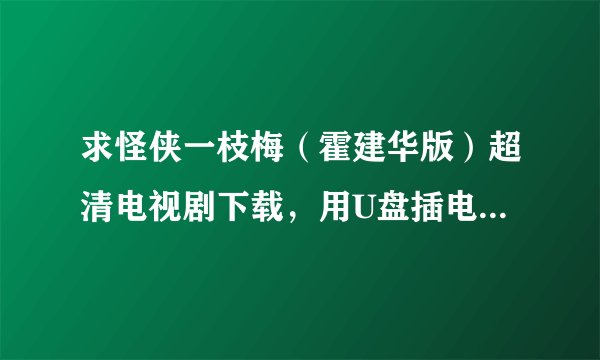 求怪侠一枝梅（霍建华版）超清电视剧下载，用U盘插电视上看的，一定要超清的，一集一个多G的那种！