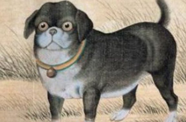 争斤论两指什么生肖?