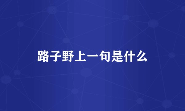 路子野上一句是什么