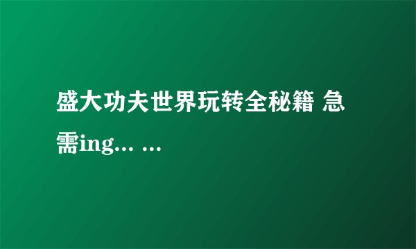 盛大功夫世界玩转全秘籍 急需ing... ...