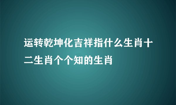 运转乾坤化吉祥指什么生肖十二生肖个个知的生肖