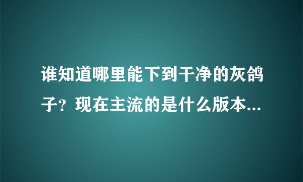 谁知道哪里能下到干净的灰鸽子？现在主流的是什么版本的啊？免费的