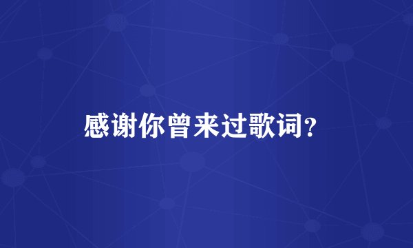 感谢你曾来过歌词？