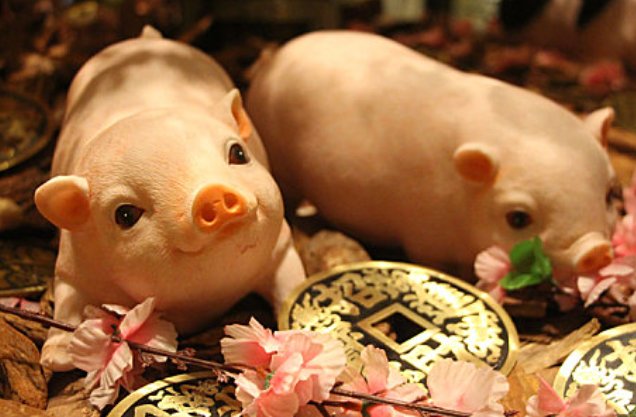 胆破心惊打一生肖动物