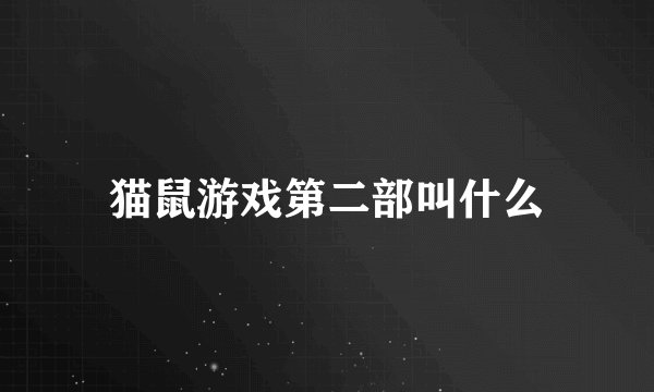 猫鼠游戏第二部叫什么
