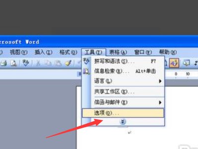 wps是什么格式的文件？