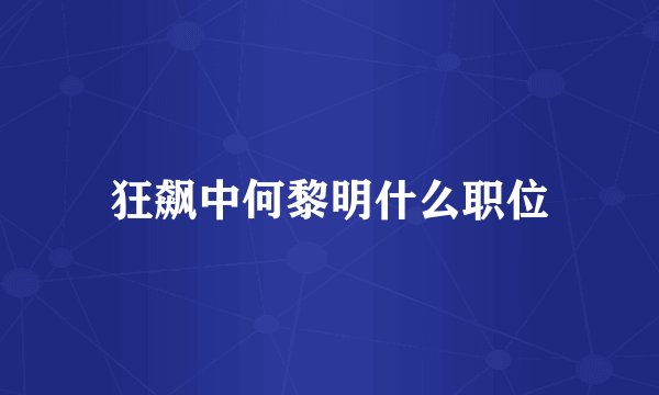 狂飙中何黎明什么职位