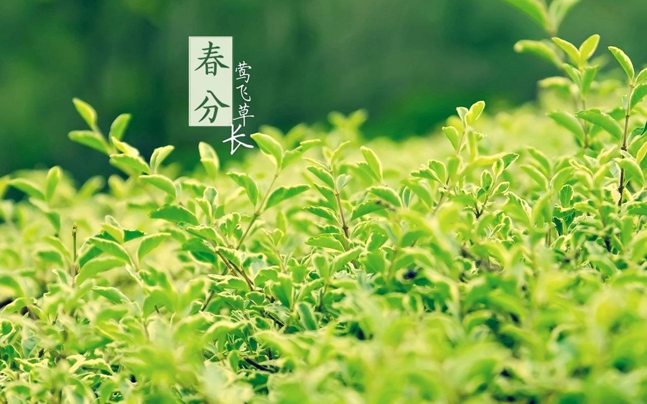 梨五杏四杏四桃三桃三樱二以这些为例子还有什么农谚