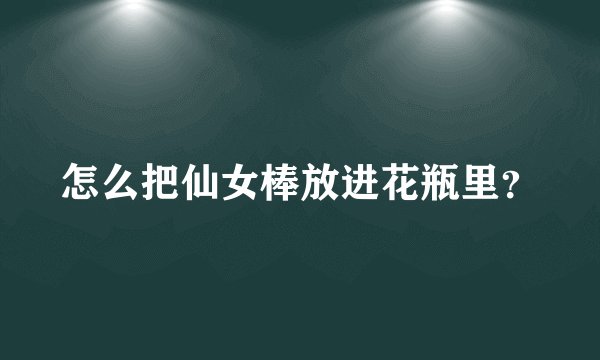 怎么把仙女棒放进花瓶里？