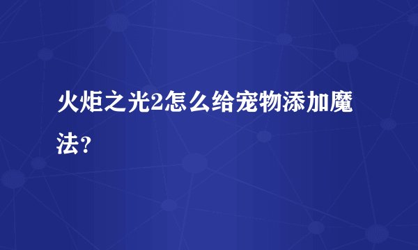 火炬之光2怎么给宠物添加魔法？