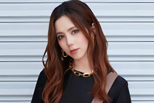 各大卫视2024年跨年晚会嘉宾阵容