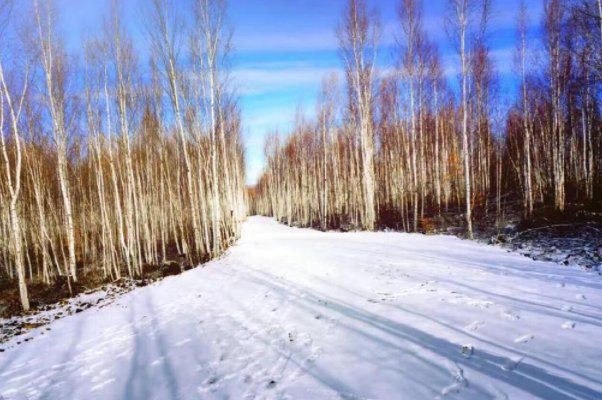 黑龙江漠河5月份出现飘雪，为何现在极端天气总是频繁出现？