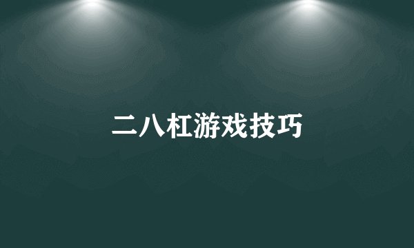 二八杠游戏技巧