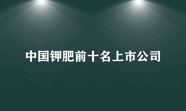 中国钾肥前十名上市公司