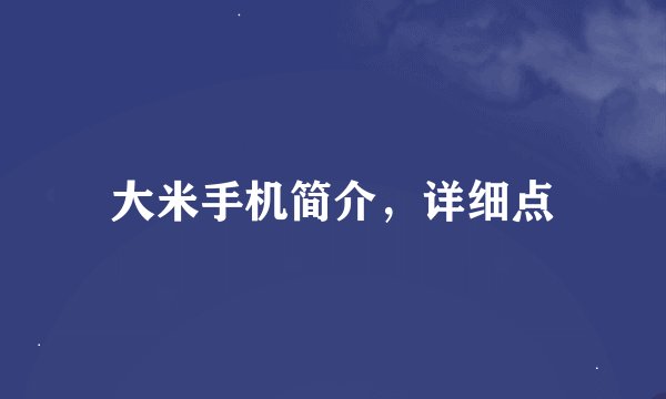大米手机简介，详细点