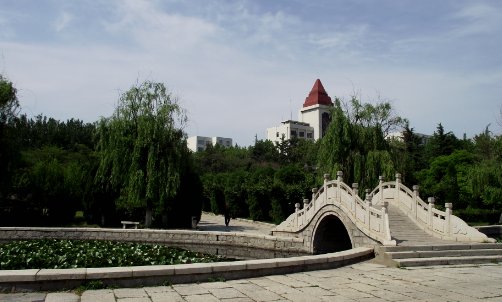 鲁东大学专科专业分数线2022年