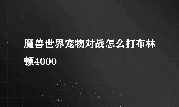魔兽世界宠物对战怎么打布林顿4000