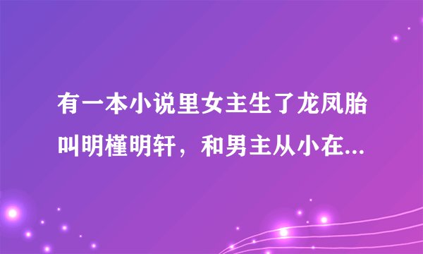 有一本小说里女主生了龙凤胎叫明槿明轩，和男主从小在孤儿院认识，女