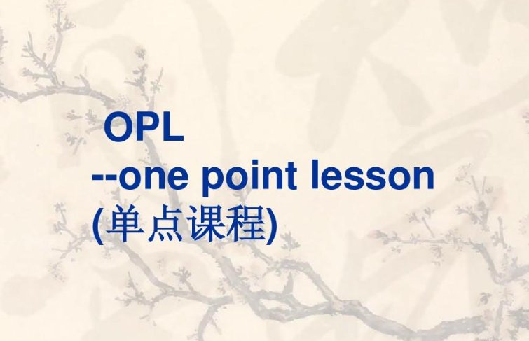 opl是什么意思