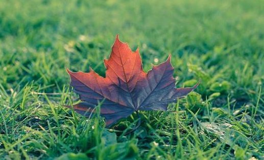 老人常说“凌晨立秋这个秋天就凉爽了”，有科学依据吗？