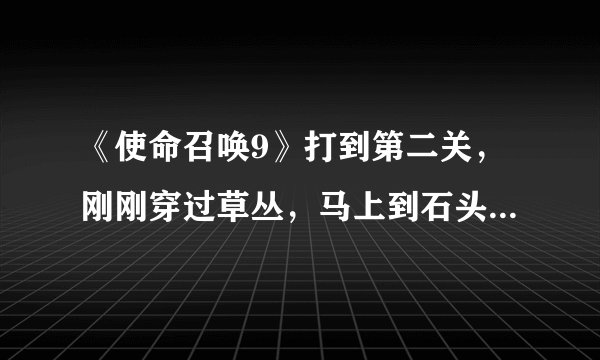 《使命召唤9》打到第二关，刚刚穿过草丛，马上到石头那就自动退出或者卡死，怎么解决呢？