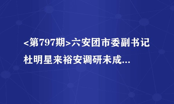 <第797期>六安团市委副书记杜明星来裕安调研未成年人检察工作