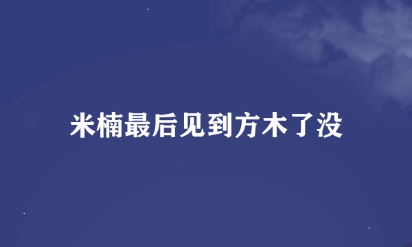 米楠最后见到方木了没