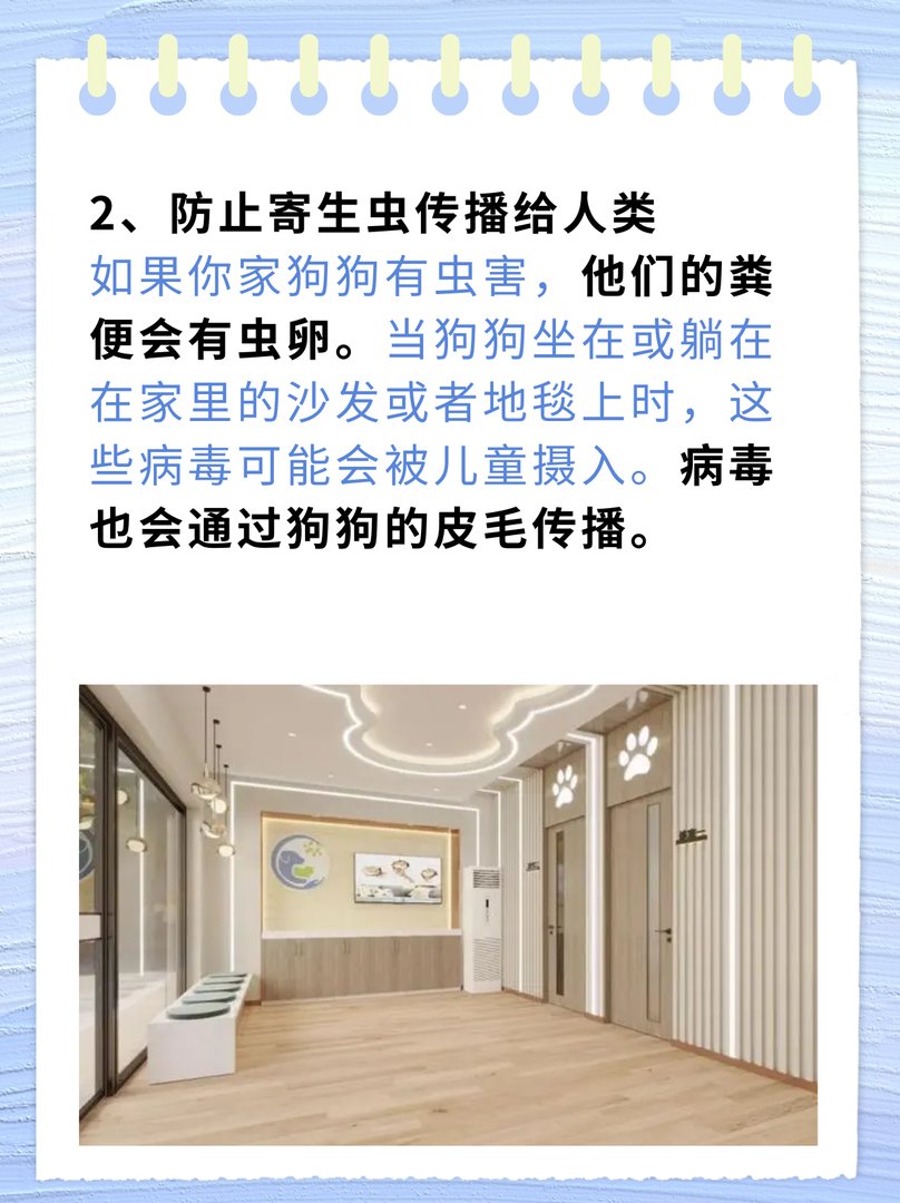 宠物驱虫需要多少钱？