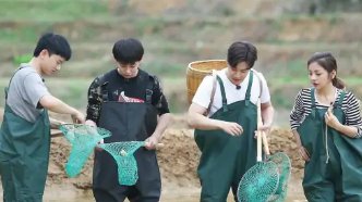 《向往的生活6》收视率下滑，这类慢综艺符合大众口味吗？