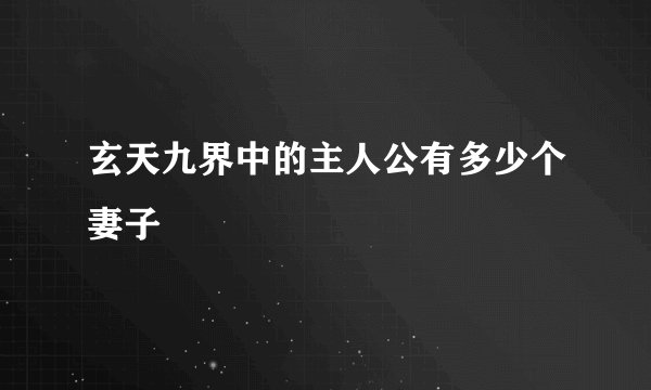 玄天九界中的主人公有多少个妻子