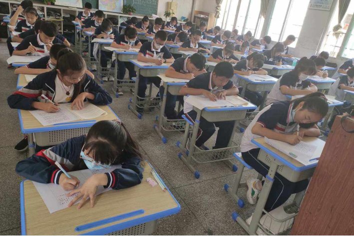 初中怎么查询成绩?