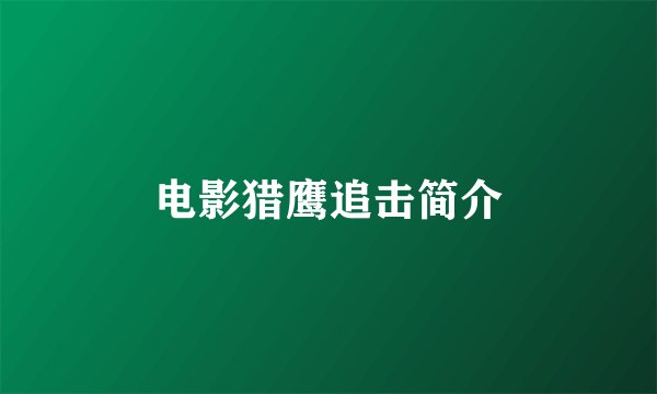 电影猎鹰追击简介