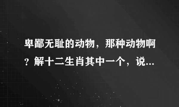卑鄙无耻的动物，那种动物啊？解十二生肖其中一个，说出你的理由。